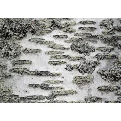 Akustiikkataulu Yeseco Quiet, 120x80cm, eri kuvia (myös omalla kuvalla)
