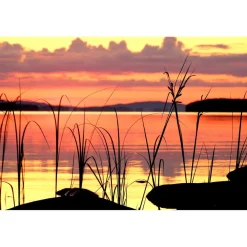 Akustiikkataulu Yeseco Quiet, 120x80cm, eri kuvia (myös omalla kuvalla)