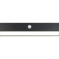 Aurinkokennoseinävalaisin Trio Silves Hybrid Solar LED ladattava liike- ja hämärätunnistin 4000K alas