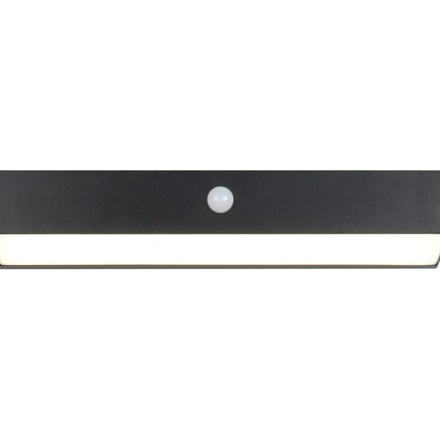 Aurinkokennoseinävalaisin Trio Silves Hybrid Solar LED ladattava liike- ja hämärätunnistin 4000K alas
