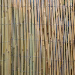 Bambuaita Home4you In Garden, 200x500cm