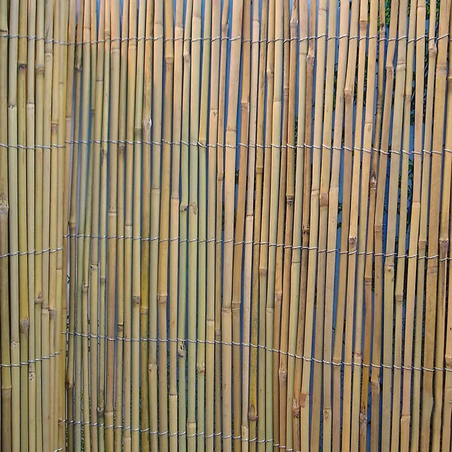 Bambuaita Home4you In Garden, 200x500cm