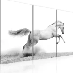 Canvas-taulu Artgeist A galloping horse, eri kokoja