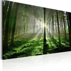 Canvas-taulu Artgeist Emerald Forest II, eri kokoja
