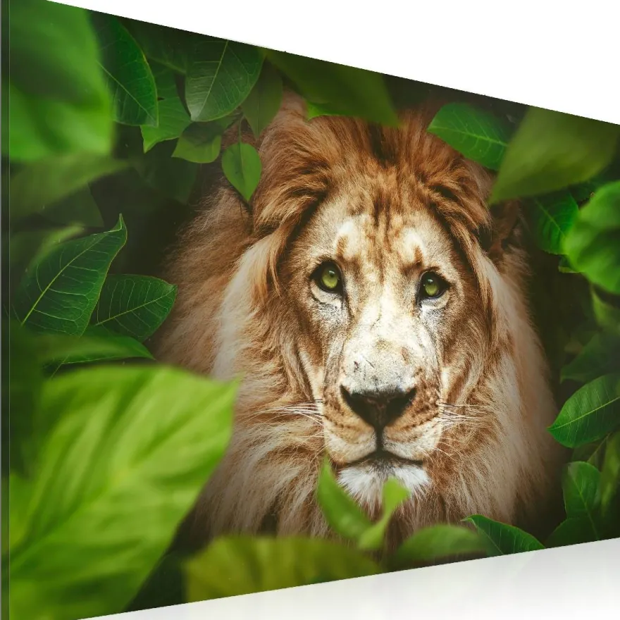 Canvas-taulu Artgeist Eyes of the jungle, eri kokoja