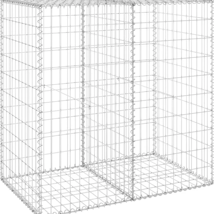 Gabion-kivikori kansilla galvanoitu teräs 100x60x100 cm