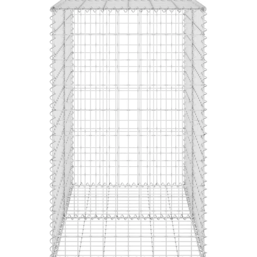 Gabion-kivikori kansilla galvanoitu teräs 100x60x100 cm