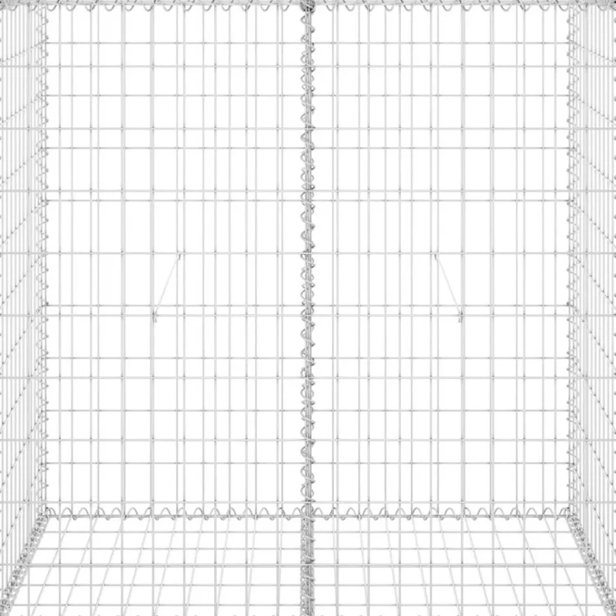 Gabion-kivikori kansilla galvanoitu teräs 100x60x100 cm