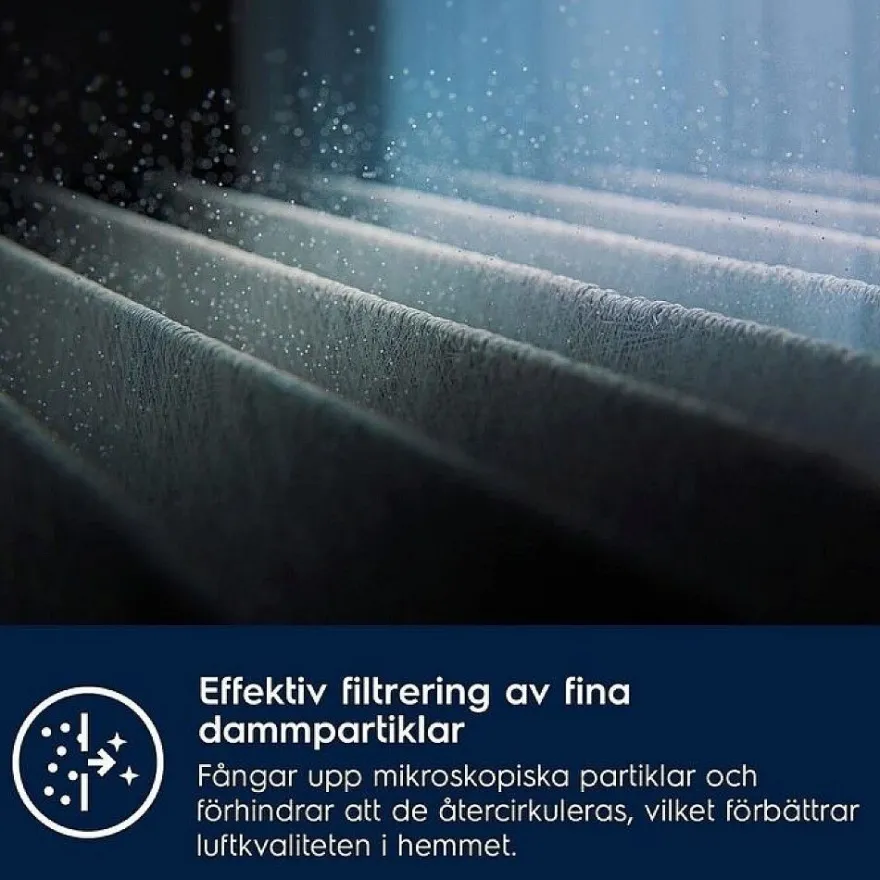 Hienopölysuodatin Electrolux EF162