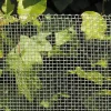 Hyönteisverkko Hortus, 1.5mm, 0.6x12.5m, galvanoitu