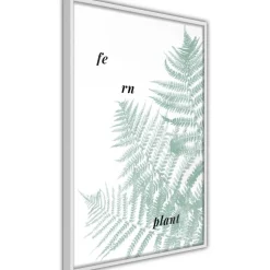 Juliste Artgeist Fern Plant, kehyksillä, eri kokoja