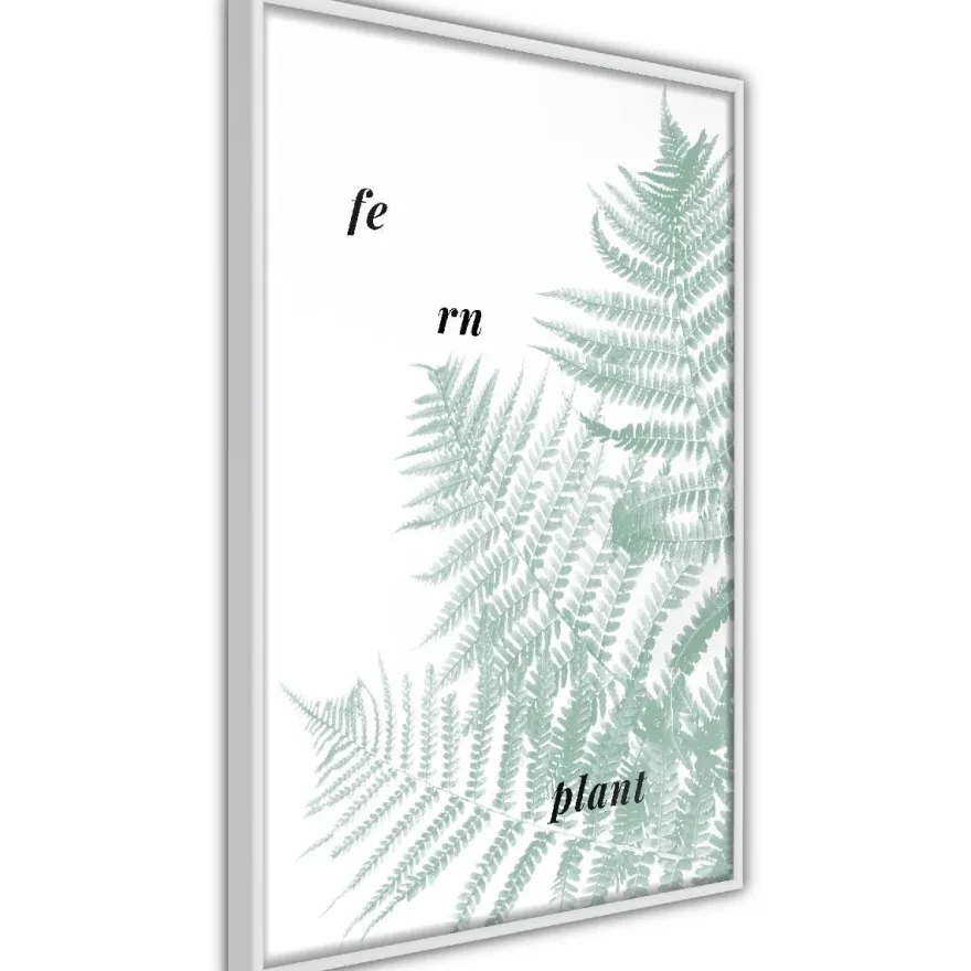 Juliste Artgeist Fern Plant, kehyksillä, eri kokoja