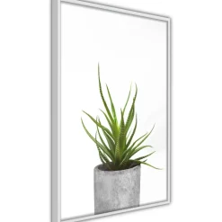 Juliste Artgeist Haworthia, kehyksillä, eri kokoja