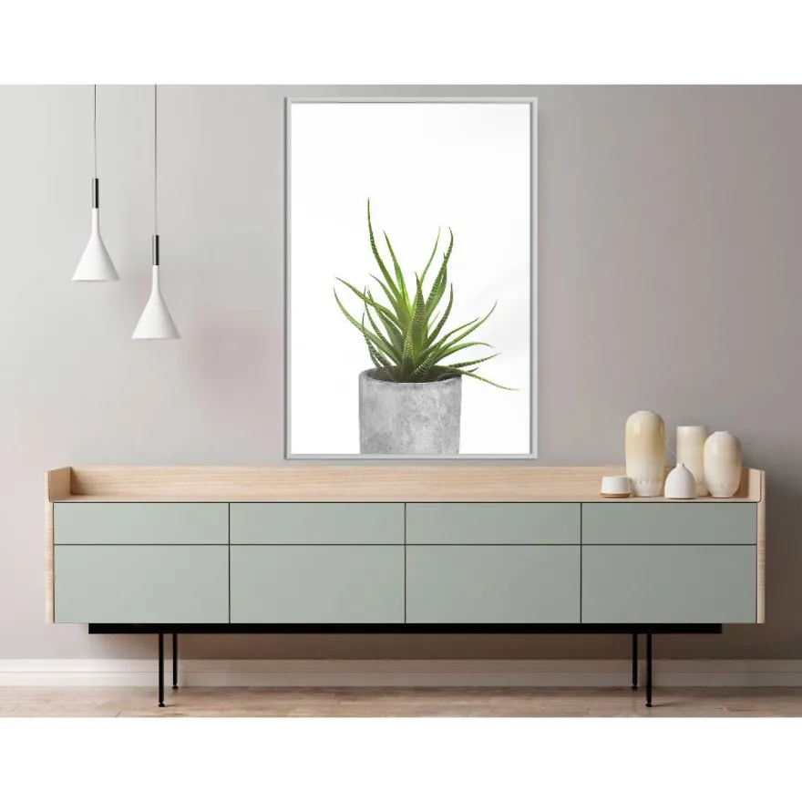 Juliste Artgeist Haworthia, kehyksillä, eri kokoja