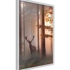 Juliste Artgeist Morning, kehyksillä, eri kokoja