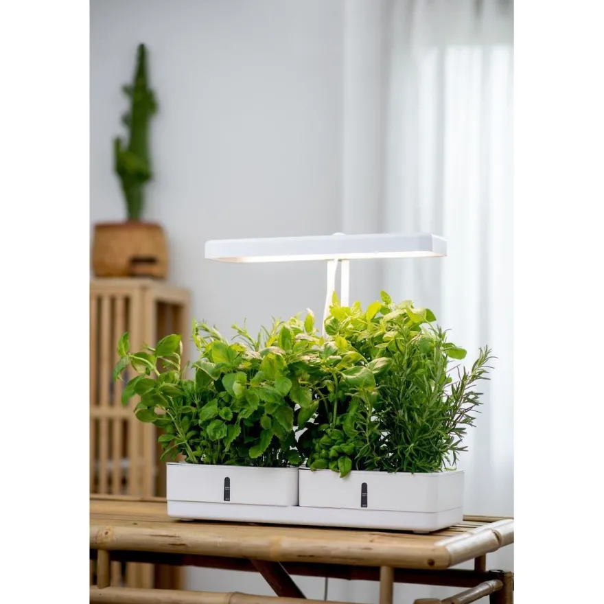 Kasvivalaisin Airam Daisy, 20W, 1450lm, valkoinen