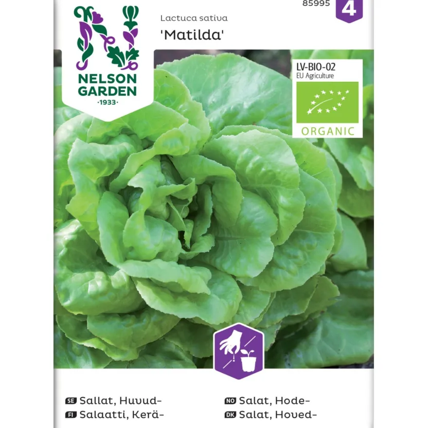 Keräsalaatti Nelson Garden Matilda Organic, siemenet
