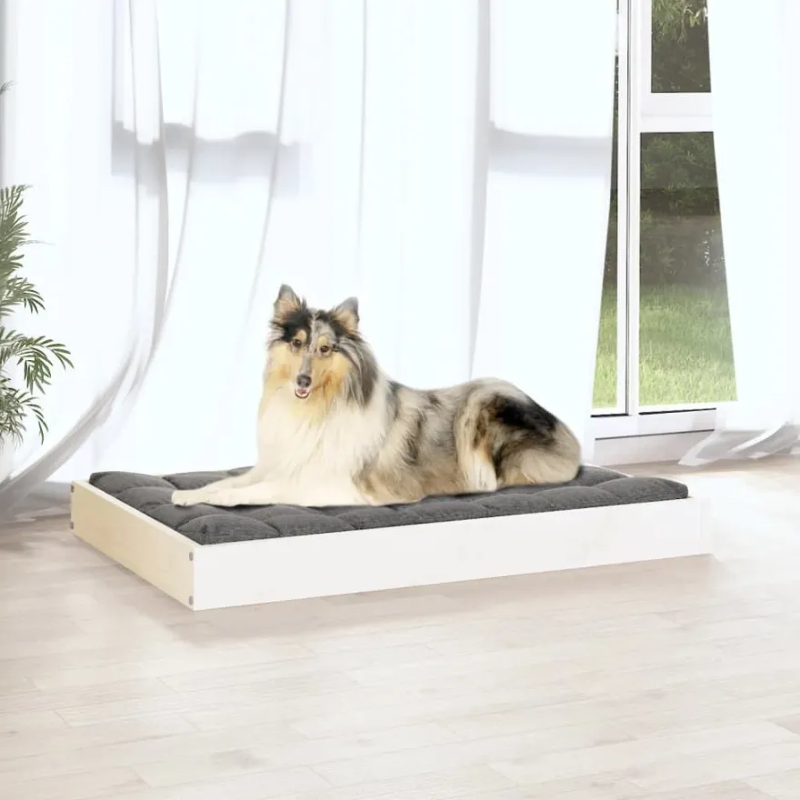 Koiransänky 91,5x64x9cm, mänty, eri värejä