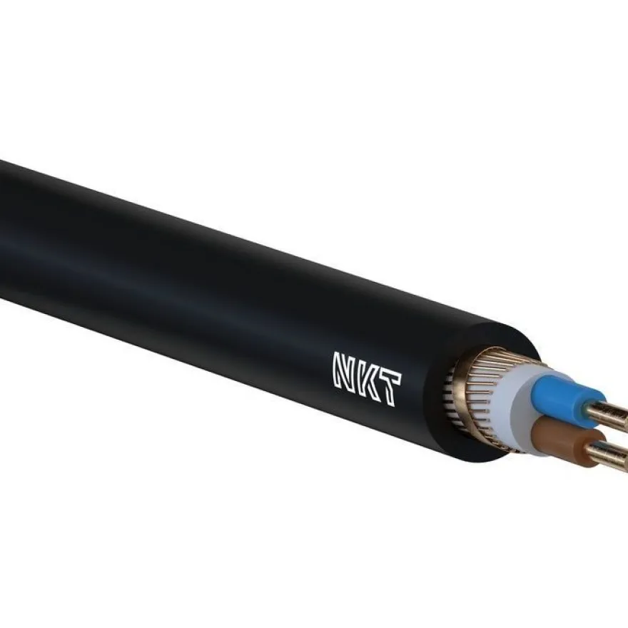 Kuparivoimakaapeli NKT XCMK-HF 2X2,5/2,5 RE Dca R50