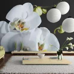 Kuvatapetti Artgeist Phalaenopsis, 270x450cm, musta