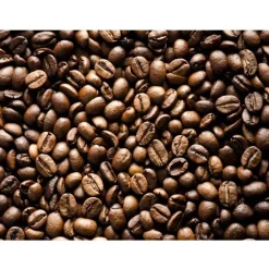 Kuvatapetti Artgeist Roasted coffee beans, eri kokoja