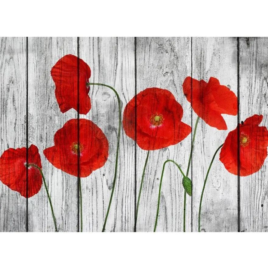 Kuvatapetti Artgeist Tale of Red Poppies, eri kokoja