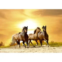 Kuvatapetti Dimex Horses In Sunset, 375x250cm, keltainen