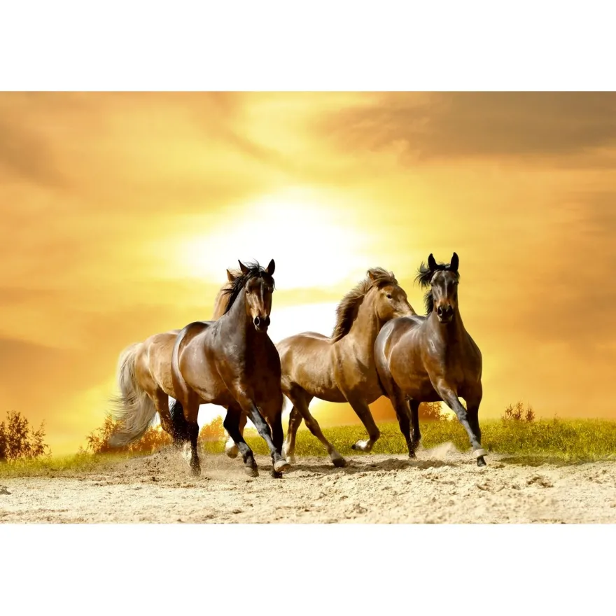 Kuvatapetti Dimex Horses In Sunset, 375x250cm, keltainen