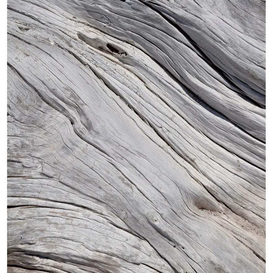 Kuvatapetti Dimex Tree Texture, 225x250cm, harmaa, puukuosi