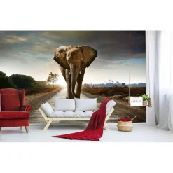 Kuvatapetti Dimex Walking Elephant, 375x250cm, harmaa