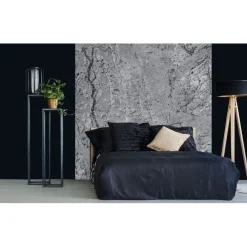 Kuvatapetti Dimex Wall Concrete, 225x250cm, harmaa