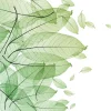 Kuvatapetti Rebel Walls Foliage, non-woven, mittatilaus