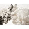 Kuvatapetti Rebel Walls Frozen Moment Cream, non-woven, mittatilaus