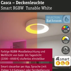 LED-kattovalaisin Paulmann Smart Home Zigbee 3.0 Casca, Ø40cm, IP44, RGBW+, 1750lm, 230V, 20W, himmennettävä