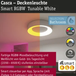 LED-kattovalaisin Paulmann Smart Home Zigbee 3.0 Casca, Ø40cm, IP44, RGBW+, 1750lm, 230V, 20W, himmennettävä