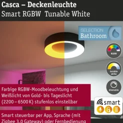 LED-kattovalaisin Paulmann Smart Home Zigbee 3.0 Casca, Ø40cm, IP44, RGBW+, 1750lm, 230V, 20W, himmennettävä