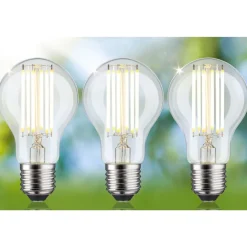 LED-lamppu Paulmann Eco-Line Filament E27 5W kirkas, eri vaihtoehtoja