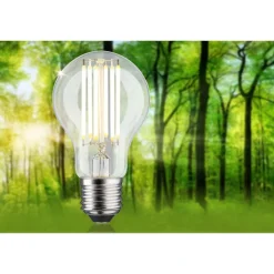 LED-lamppu Paulmann Eco-Line Filament E27 5W kirkas, eri vaihtoehtoja