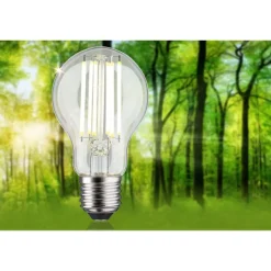LED-lamppu Paulmann Eco-Line Filament E27 5W kirkas, eri vaihtoehtoja