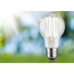 LED-lamppu Paulmann Eco-Line Filament E27 5W kirkas, eri vaihtoehtoja