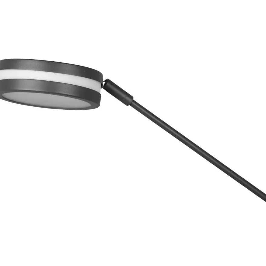 LED-lattiavalaisin Trio Franklin, uplighter, eri värejä