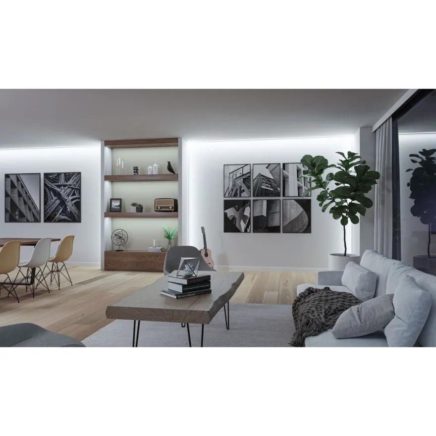 LED-valonauha Paulmann ProStrip Silver, P150, 865, 5m, 50W, 1550lm/m, 160LEDs/m, 6500K