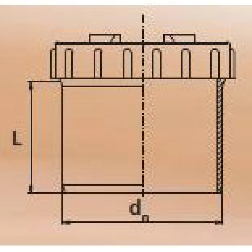 Maaviemärin puhdistustulppa PVC 200 pisto