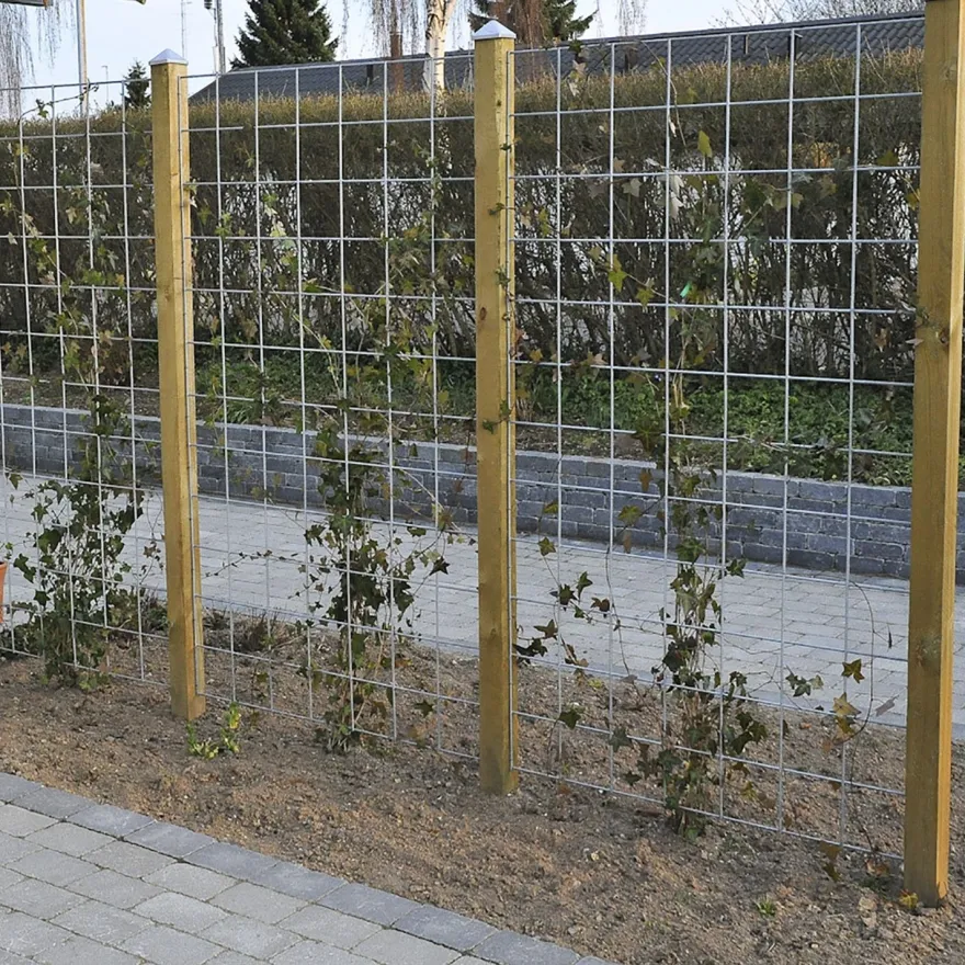 Metalliverkkopaneeli Hortus Espalier, 90x120, galvanoitu
