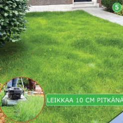 Nurmikon siemenmatto Turfquick Sport, 10 m²