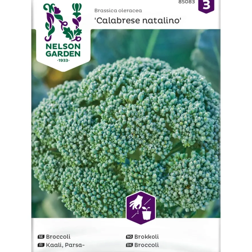 Parsakaali Nelson Garden Calabrese Natalino, siemenet