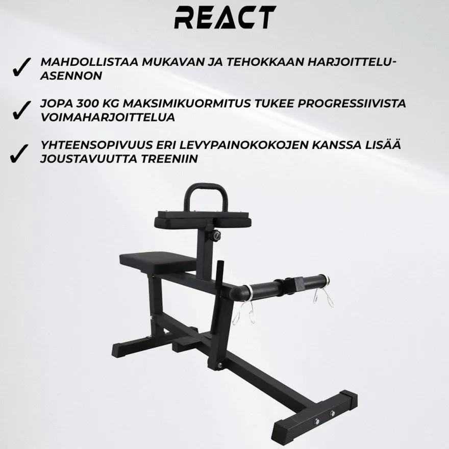 Pohjelaite React 100