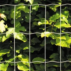 Puutarha-aita Hortus, 5x10cm, 0.8x25m, galvanoitu