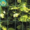 Puutarha-aita Hortus, 5x10cm, 0.6x10m, 0% PVC, vihreä