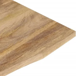 Pöytälevy kaarella 80x50x2,5 cm ovaali täysi karkea mangopuu (70192)